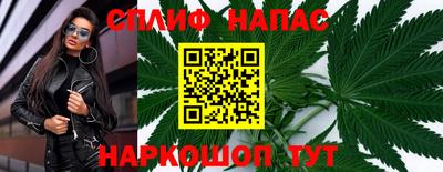 apvp Кингисепп