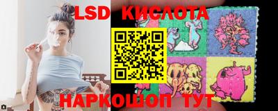 apvp Кингисепп